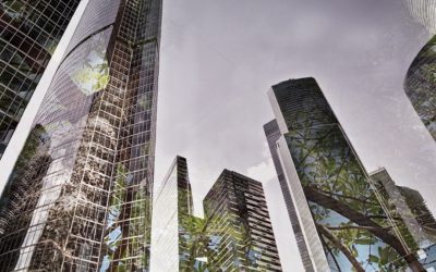 Banorte Chairman Carlos Hank González pushes for global sustainability, endorses efforts to shift global financial flows toward nature-positive outcomes